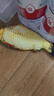 憨憨乐园猫玩具鱼猫薄荷逗猫猫抱枕草鱼幼猫宠物仿真猫咪鱼玩具非电动HD 实拍图
