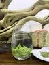 鸾雀珍稀白茶2025年明前茶采摘新茶口粮新茶正宗春茶浙江原产耐泡绿茶 500g一斤 实拍图