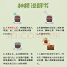九月生儿童种植盆栽套装含羞草植物种子根系观察盒幼儿园DIY迷你小盆栽 实拍图