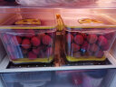 禧天龙PET冰箱保鲜盒食品级冰箱收纳盒塑料密封盒蔬菜水果冷冻盒沥水板 实拍图