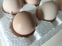 葛溪正太年货鲜鸡蛋 无激无抗 早餐 营养鸡蛋  农场直供10枚/45-50g/枚 实拍图