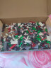 斯纳恩儿童积木玩具男女孩拼装苏州园林小颗粒模型diy成乐人高六一儿童节礼物 实拍图