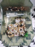 派乐特 鱼缸造景石头2kg水族箱龟缸多肉装饰底砂雨花石热敷鹅卵石子用品 实拍图