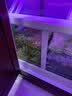 山树滤材细菌屋鱼缸水族3D细菌棒迷你环麦饭环藕状硝化环淡水海水过滤 山树麦饭环5L盒装 实拍图