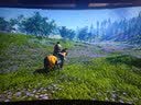 蓝宝石 华硕 微星RX580 5600XT 5700XT 6600 6700XT特效高清二手游戏显卡 华硕 RX590 8G 12纳米 猛禽 实拍图