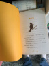 冒险家希尔达第2辑套装全3册 蓝发女孩幻想儿童文学小说奇幻冒险题材故事小学生一二三四五六年级四五六年级课外阅读 (中国环境标志产品 绿色印刷) 实拍图