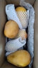 京鲜生 海南小台农芒果 1.5kg装 单果50g以上 新鲜水果 实拍图