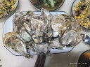 獐子岛 冷冻蒜蓉粉丝扇贝1.2kg 36只 虾夷扇贝 家庭礼盒装 海鲜烧烤食材 实拍图