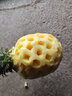 星恒梦新款不锈钢菠萝削皮刀西式水果刀家用削甘蔗水果皮去眼工具可磨刀 菠萝刀四件套【不锈钢】 实拍图