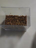 KERRY面包虫活体饲料黄粉虫鸟鱼龟蜥蜴金龙鱼鬃狮蝎子守宫食物幼体幼虫 1斤2cm左右幼虫+1斤麦麸（鲜活） 实拍图