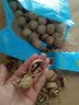日华峰新疆纸皮核桃185薄皮核桃阿克苏原味生核桃年货核桃坚果零食特产 【普通薄皮核桃】 500g*1袋 实拍图