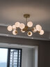 雷士（NVC）北欧现代铜材魔豆分子客厅吊灯百搭餐厅吊灯卧室灯具灯饰全屋套餐 智能款 12头+餐吊【一室一厅】 实拍图
