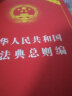 中华人民共和国民法典总则编(实用版) 实拍图