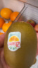 佳沛（zespri）新西兰阳光金奇异果6粒装 经典果单果约80-103g 水果 猕猴桃 实拍图