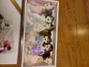 奥智嘉换装娃娃礼盒儿童玩具女孩迷你公主洋娃娃过家家生日礼物6只装 实拍图