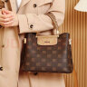 BELUNIS【520情人节礼物】专柜轻奢高端经典女包品牌手提包女士包包 深咖色 晒单实拍图