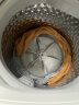 小天鹅（LittleSwan）波轮洗衣机全自动 7.5公斤小型迷你租房宿舍家电 节能省电家用一键脱水甩干内桶免清洗 TB75V20 实拍图