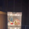 eclerbc新年礼物装饰品床头魔方气氛小夜灯diy手工制作桌面摆件场景布置 【圣诞节】魔方小夜灯 USB款 发光下飘雪老人风灯烛台灯床头灯圣诞树送礼 实拍图
