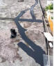 科顺（CKS）防水涂料屋顶补漏材料楼顶天台天沟防水胶补漏王液体卷材沥青20KG 晒单实拍图