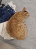 喵喵酱猫砂 猫砂膨润土猫砂 低尘猫沙宠物用品 结团大小颗粒混合大包装 黄色包装10kg 实拍图