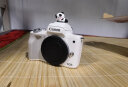 佳能（CANON） m50二代微单相机 m50 mark II 2代vlog学生自拍数码照相机 白色15-45+星曜351.7人像双头返50 家用套装二（新增滤镜等配件 增加可玩性） 实拍图