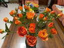 京东鲜花 云南单头玫瑰 橙色系【自由精灵】火灵鸟 5枝 实拍图