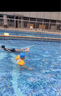 swimbobo儿童游泳手臂圈宝宝游泳圈水袖漂泳圈儿童游泳装备BO1100粉色恐龙 实拍图