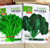 寿禾 大白菜种子种苗春季蔬菜种籽大田种植 潍育秋宝白菜种子10g*5袋 实拍图