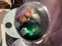 小熊（Bear）煮蛋器家用微电脑预约定时不锈钢多功能迷你双层煎蛋器蒸蛋器ZDQ-B14Y5 草绿色双层304钢机身 草绿 双层 实拍图