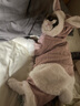 华元宠具（hoopet）猫咪衣服幼猫可爱四脚装冬季冬天保暖布偶猫无毛猫衣服宠物防掉毛 粉色兔耳朵四脚装-带绒款 XL-(建议12-15斤) 实拍图