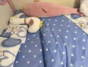 雅鹿床上四件套床单被套单人宿舍被罩小清新双人水洗棉四季床上用品 蛋糕萌宠【亲肤舒适 不易起球】 1.8m床单款四件套-被套180*220cm 实拍图