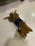 SLPC狗狗胸背带牵引绳小型犬泰迪背心式遛狗绳反光透气小狗背带狗绳子 藏青 M（适合6-9斤） 实拍图