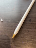 劲仕小黑头阻尼笔头静音改造二代 适用Apple Pencil双重针管替换电容笔尖通用ipad一代耐磨 2B+4B+HB针管头+HB铅笔头【四件套】 实拍图