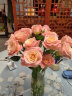 花点时间（Reflower）鲜花玫瑰花束云南昆明基地直发百合向日葵送女友生日礼物 粉色系玫瑰20枝（戴安娜/洛神等品种） 实拍图