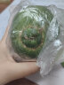 无名农夫绿宝石甜瓜小香瓜蜜脆甜瓜头茬新鲜应季绿皮瓜水果整箱礼盒生鲜 9个果（单果150g-200g） 实拍图