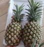 果恋汇（GUOLIANHUI）海南金钻凤梨新鲜当季热带水果手撕无眼香水菠萝树上熟整箱超甜 9斤装大果(4-5个) 实拍图