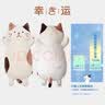 HAPiNS情人节礼物抱枕猫咪公仔玩偶可爱毛绒布玩具生日礼物男生送女友 凉感奶酪猫【科技升级】 75cm 实拍图