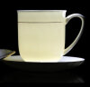 陶相惠 骨瓷茶杯办公杯会议杯陶瓷纯白开会水杯子会议办公茶杯12只套装 实拍图