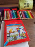 辉柏嘉（Faber-castell）彩铅水溶性彩色铅笔绘画套装画画工具儿童礼物 48色纸盒装 实拍图