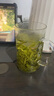 禾器·炫彩茶具绿茶杯花茶杯水杯 带把手高硼硅耐热加厚透明玻璃杯泡茶杯 晶彩清简杯（透明） 实拍图
