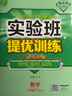 实验班提优训练 初中数学 八年级下册 人教版 2021年春 实拍图