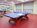 红双喜彩虹乒乓球台(金彩虹)ITTF国际乒联认证专业比赛室内兵乓球桌 N.TCH彩虹乒乓球台(RAINBOW) 晒单实拍图