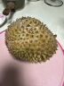 马猫马来西亚猫山王榴莲 生鲜水果液氮冷冻保鲜树熟带壳榴莲D197整个 3斤-3.6斤（保四房肉 嫩滑丝质） 实拍图
