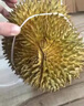 采缇（CAITI）正宗泰国金枕头榴莲新鲜榴莲水果巴掌榴莲带壳整个当季鲜果 2-3斤榴莲盲盒（一天一百个) 实拍图