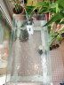 森森 超白玻璃小鱼缸HWK-600P裸缸款水草缸金鱼缸小型水族箱水草缸  晒单实拍图