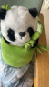 尚韵新年毕业生日礼物女抱竹竹筒熊猫玩偶毛绒玩具公仔儿童玩具娃娃 实拍图