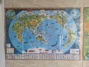 中国地图挂图+世界地图挂图 套装全2册 儿童地理百科知识挂图地图约0.87米X0.6米高清印刷家用客厅装饰挂图 实拍图