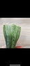 言片光 山东羊角蜜 甜瓜 脆甜香瓜 新鲜水果头茬现摘 净重3斤【头茬尝鲜】 实拍图
