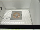 绿岛风（Nedfon）APC15-2S-N壁挂排气扇6寸圆孔抽风机卫生间换气扇窗墙厨房排风扇 晒单实拍图