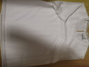 菲妮迪品牌雪纺衫夏季简约时尚白色蕾丝短袖套头上衣女 白色 M 晒单实拍图